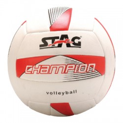 STAG Volley Ball Champion
